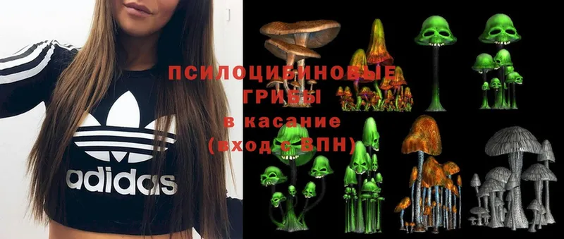 Галлюциногенные грибы MAGIC MUSHROOMS  Кашин 